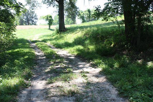 Property photo 20 - AUCTION POSTPONED